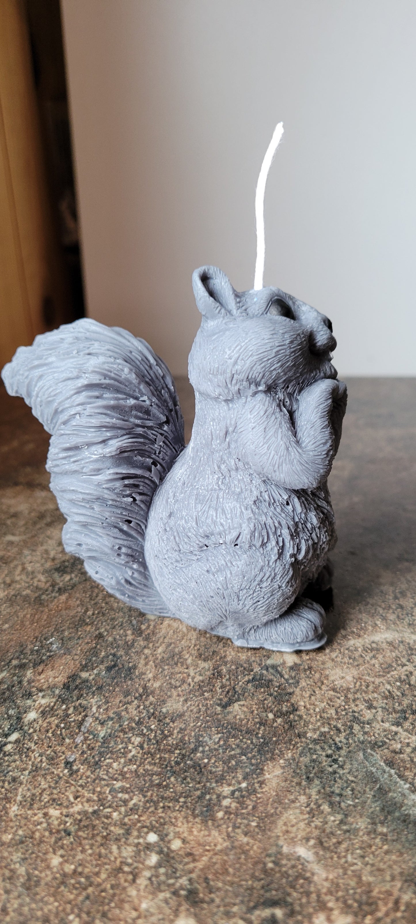 Squirrel Candle