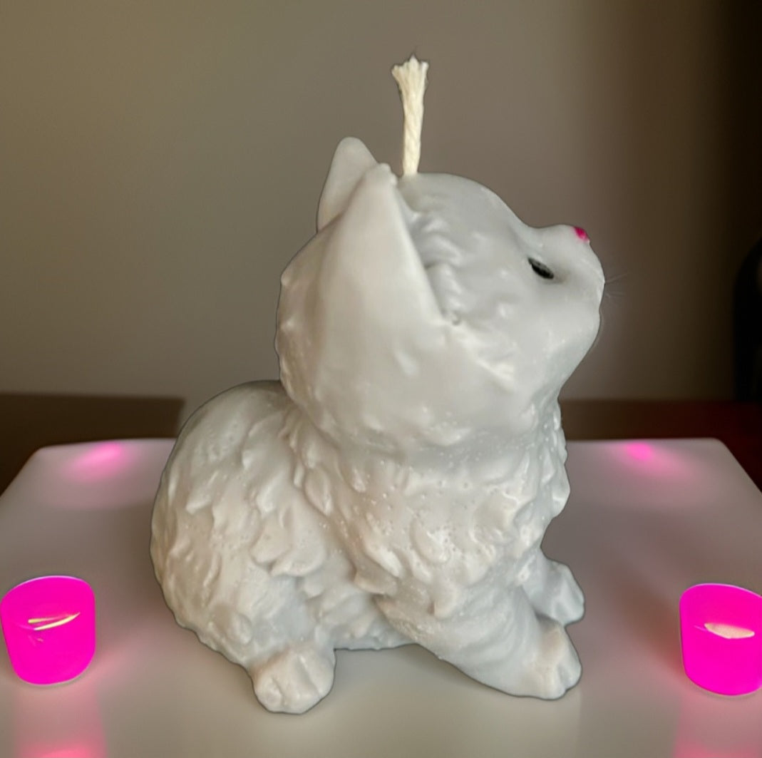 Kitty Candle and Wax Melt Set